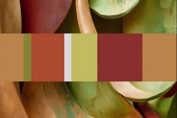 NCS 2026+色彩趋势：心之所向是「归家」